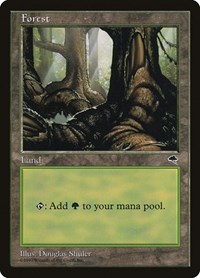 Forest (Pond), Tempest