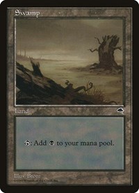 Swamp (Horizontal Log), Tempest