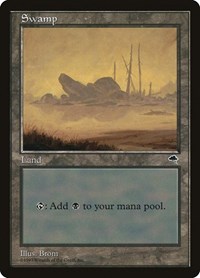 Swamp (Boulder), Tempest