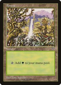 Forest (Waterfall), Mirage