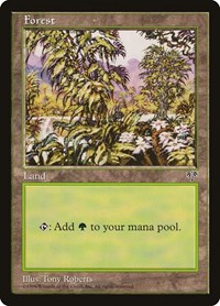Forest (White Flowers Right), Mirage