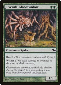 Juvenile Gloomwidow, Shadowmoor
