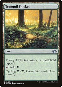Tranquil Thicket, Modern Horizons