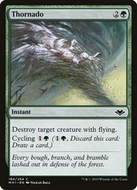 Thornado, Modern Horizons
