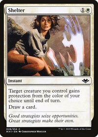Shelter, Modern Horizons