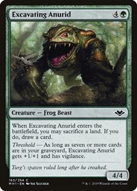 Excavating Anurid, Modern Horizons