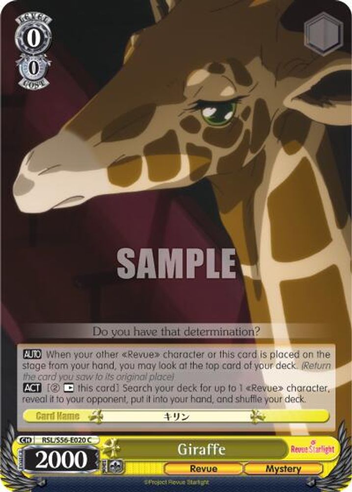 Giraffe, Standard, front