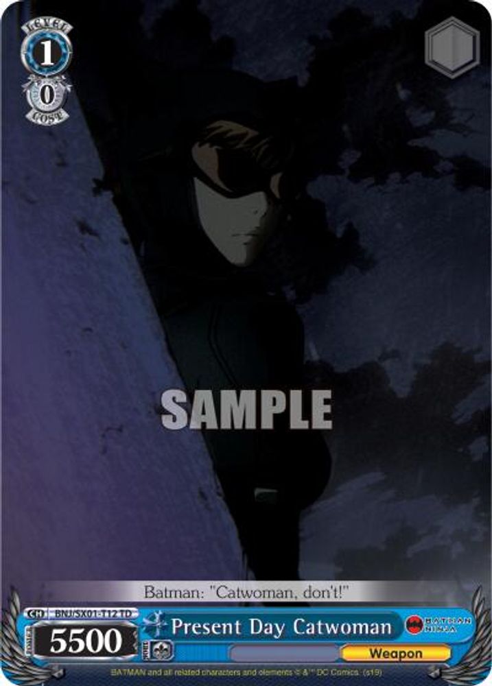 Present Day Catwoman, Standard, front