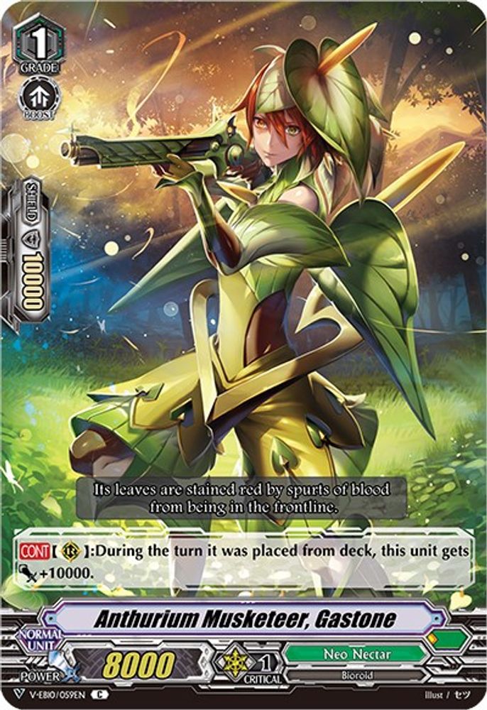 Anthurium Musketeer, Gastone, Standard, front