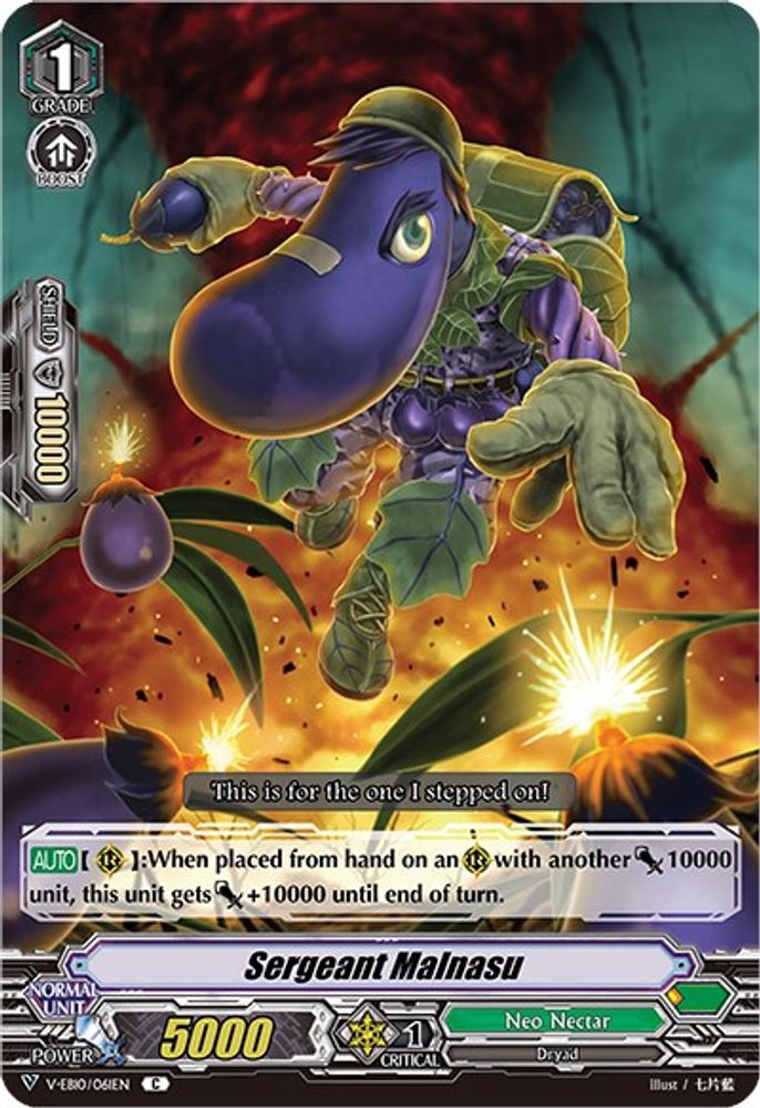 Sergeant Malnasu, Standard, front
