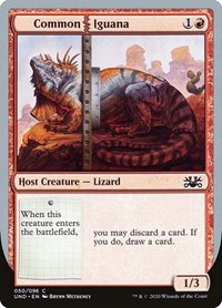 Common Iguana, Unsanctioned