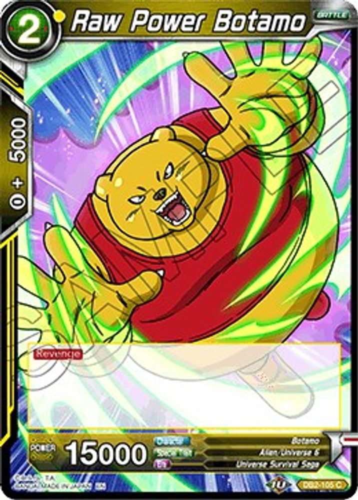 Raw Power Botamo, Standard, front