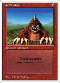 Burrowing, Summer Magic