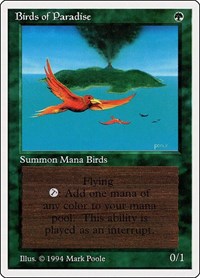 Birds of Paradise, Summer Magic