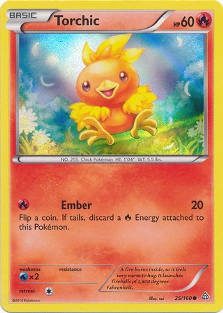 Torchic - 25/160 (Sheen Holo)