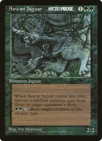 Aswan Jaguar (MicroProse), Oversize Cards