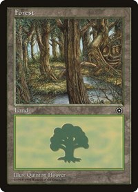 Forest (152), Portal Second Age