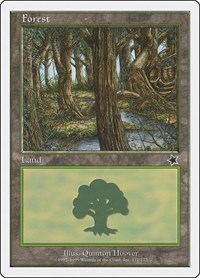 Forest (171), Starter 1999