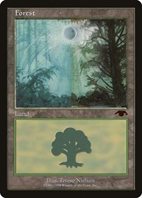 Forest - Guru, Guru Lands