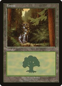 Forest - Schwarzwald, European Lands