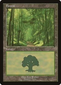 Forest - Broceliande, European Lands