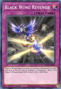 Black Wing Revenge