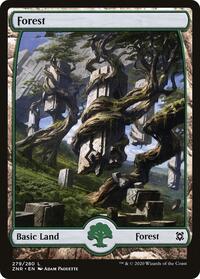 Forest (279) - Full Art, Zendikar Rising