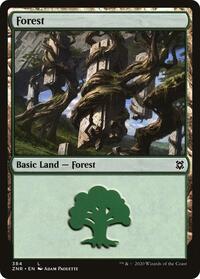 Forest, Zendikar Rising