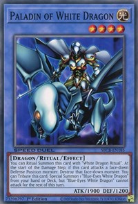 Paladin of White Dragon