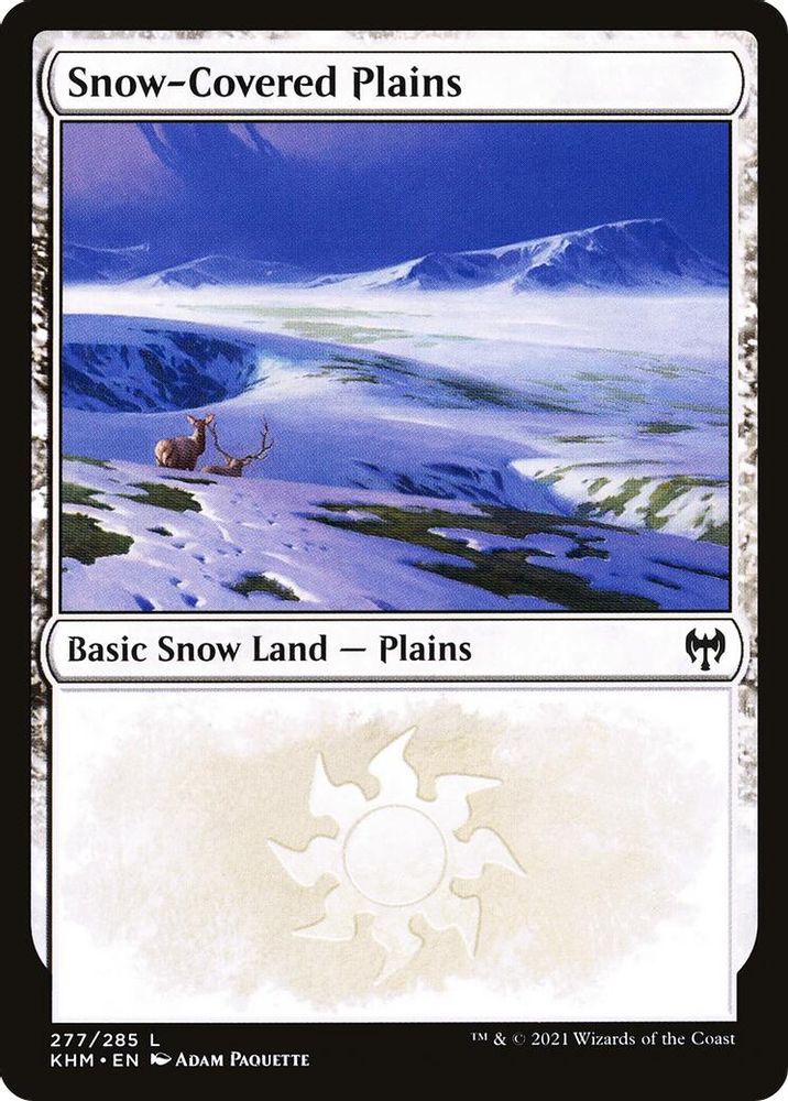 Snow Covered Plains 277