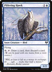Pilfering Hawk, Kaldheim