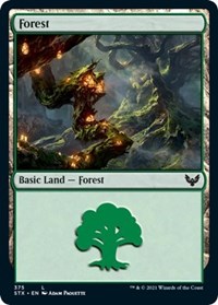 Forest (375), Strixhaven: School of Mages