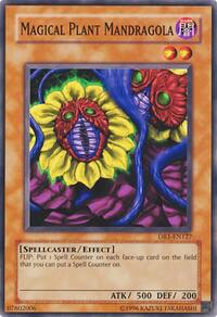 Magical Plant Mandragola