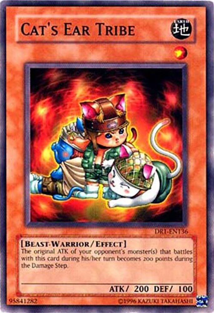 Cat's Ear Tribe, Unlimited, front