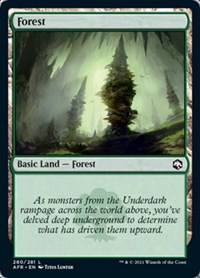 Forest (280), Adventures in the Forgotten Realms