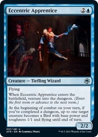 Eccentric Apprentice, Adventures in the Forgotten Realms
