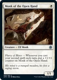 Monk of the Open Hand, Adventures in the Forgotten Realms