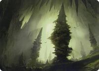 Forest (55/81) Art Card, Art Series: Adventures in the Forgotten Realms