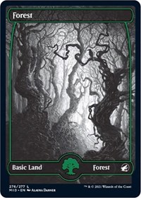 Forest (276), Innistrad: Midnight Hunt