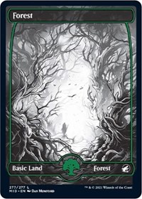 Forest (277), Innistrad: Midnight Hunt