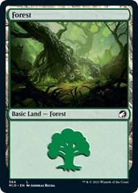 Forest (384), Innistrad: Midnight Hunt