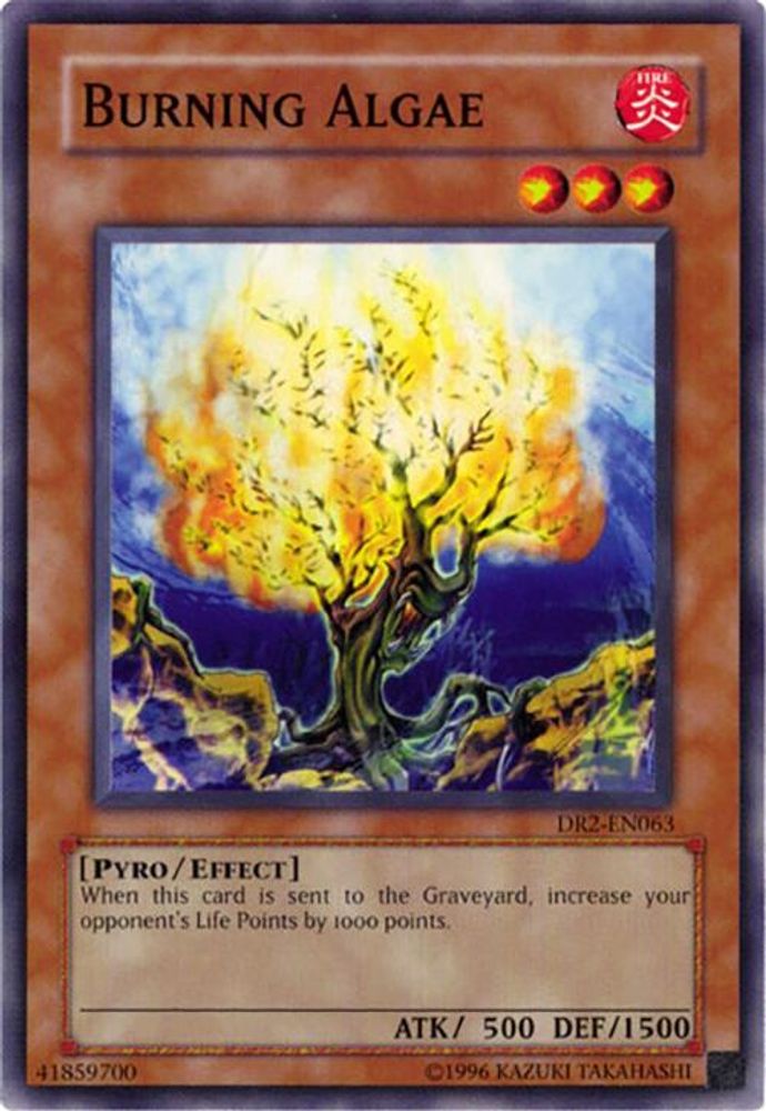 Burning Algae, Unlimited, front