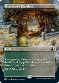 Overgrown Farmland (Borderless), Innistrad: Midnight Hunt