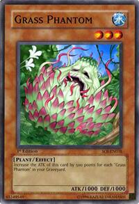 Grass Phantom