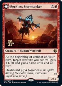 Reckless Stormseeker
