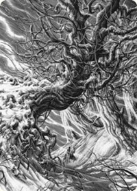 Forest Art Card, Art Series: Innistrad: Crimson Vow