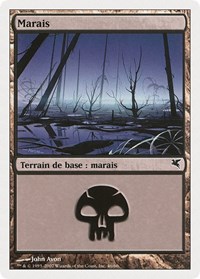 Swamp (French) - "Marais" (D46), Magic Encyclopedia 2005 (Salvat/Hachette)