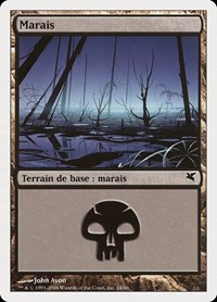 Swamp (French) - "Marais" (F24), Magic Encyclopedia 2005 (Salvat/Hachette)