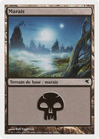 Swamp (French) - "Marais" (E24), Magic Encyclopedia 2005 (Salvat/Hachette)
