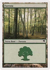Forest (Italian) - "Foresta" (B10), Magic Encyclopedia 2005 (Salvat/Hachette)